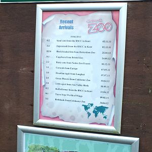 Recent Arrivals Board at Exmoor Zoo - January 28th 2013