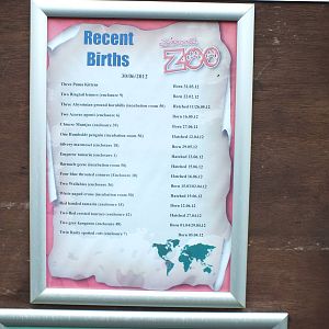 Recent Births Board at Exmoor Zoo - January 28th 2013