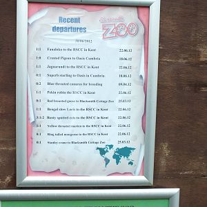 Recent Departures Board at Exmoor Zoo - January 28th 2013