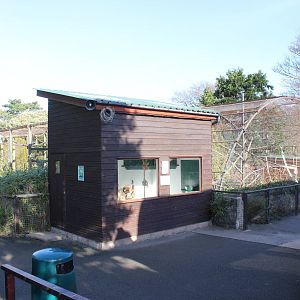 View of primate enclosures