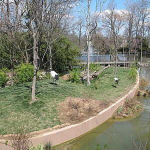 Swan Lake-Crane Islands