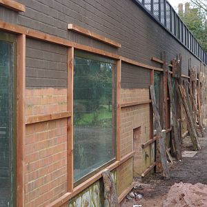 Twycross Zoo (3/2/2013)