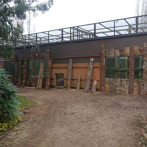 Twycross Zoo (3/2/2013)