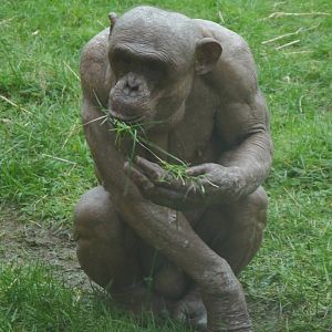 Twycross Zoo (3/2/2013)