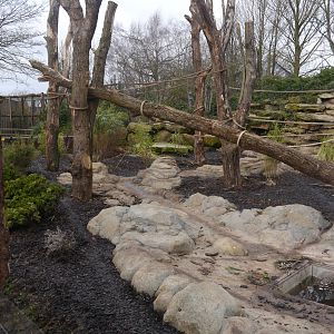 Twycross Zoo (3/2/2013)