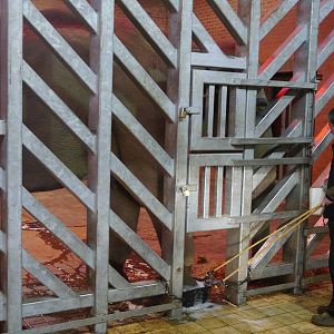 Twycross Zoo (3/2/2013)