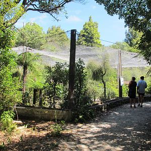 Parakeet Aviary - Mount Bruce February 2013