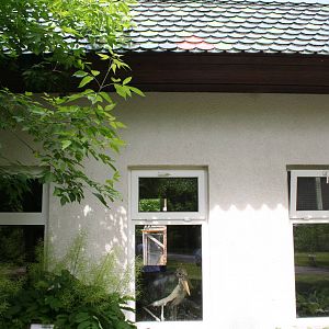 Indoor stork winter housing