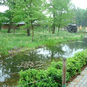 Maned wolf and capuchin enclosure