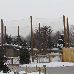 Rocky Shores - Eagle Exhibit