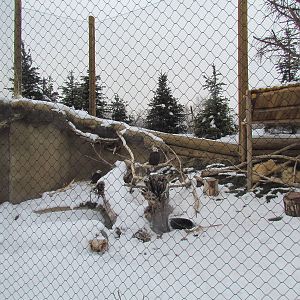 Rocky Shores - Eagle Exhibit