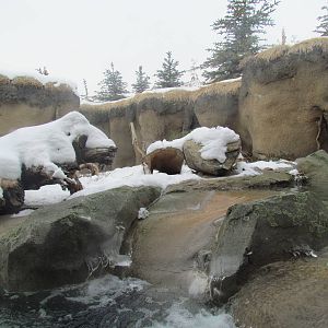 Rocky Shores - Otter Falls