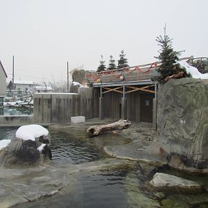 Rocky Shores - Pinniped Exhibit