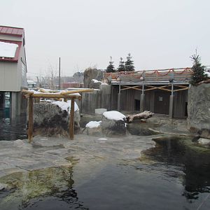 Rocky Shores - Pinniped Exhibit