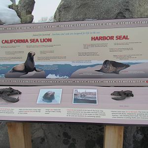 Rocky Shores - Signage