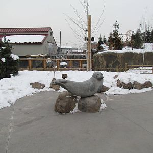 Rocky Shores - Seal Statue