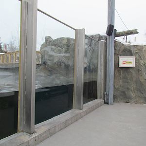 Rocky Shores - Pinniped Exhibit