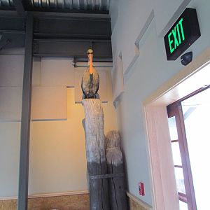 Underwater Viewing Gallery