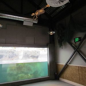 Underwater Viewing Gallery