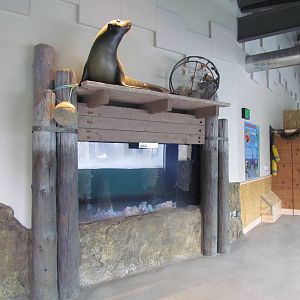 Underwater Viewing Gallery