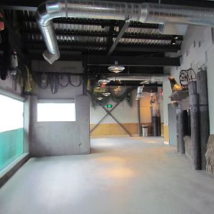 Rocky Shores - Underwater Viewing Gallery