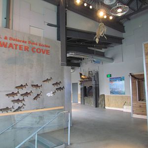 Rocky Shores - Underwater Viewing Gallery