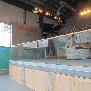 Rocky Shores - Underwater Viewing Gallery