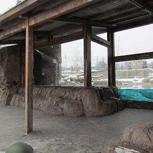 Rocky Shores - Polar Bear Exhibit