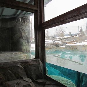 Rocky Shores - Polar Bear Exhibit