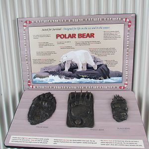 Rocky Shores - Signage