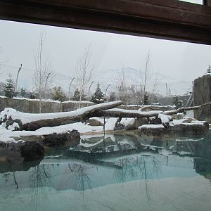 Rocky Shores - Polar Bear Exhibit