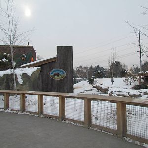 Rocky Shores - Bear Meadow