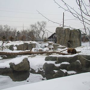 Rocky Shores - Bear Meadow