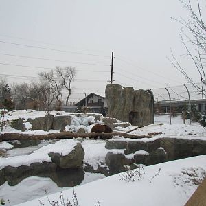 Rocky Shores - Bear Meadow