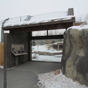 Rocky Shores - Bear Meadow