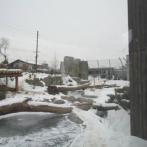 Rocky Shores - Bear Meadow