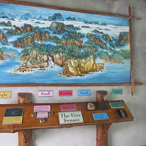 Asian Highlands - Interpretives