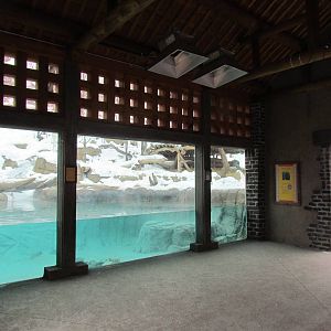 Asian Highlands - Amur Tiger Exhibit