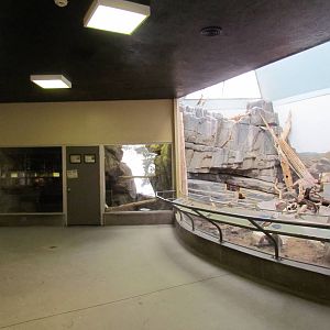 Small Animal Building - Desert Exhibit