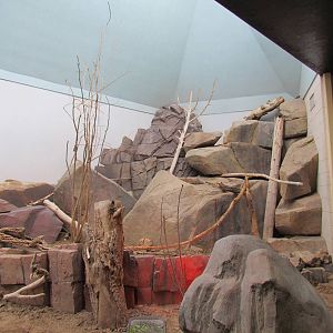 Small Animal Building - Desert Exhibit