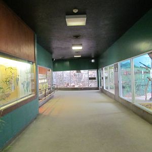 Small Animal Building - Hallway