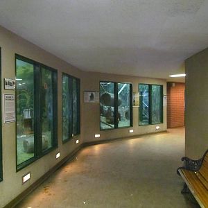 Great Ape House - Hallway