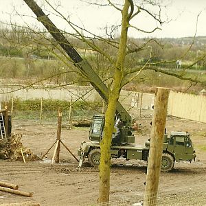 New Chimpanzee exhibit under construction 4th April 1998