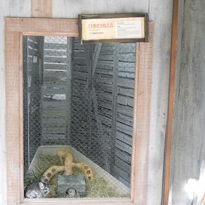 Chinchilla exhibit
