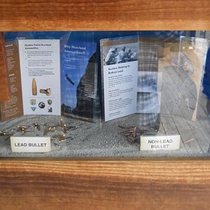 California condor lead vs. unleaded bullet exhibit