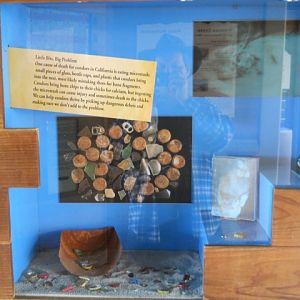 California condor microtrash conservation exhibit