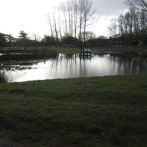View towards the Bonobo House