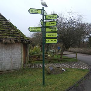 Direction sign post