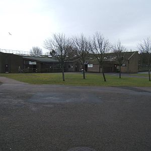 View of the Great Ape House