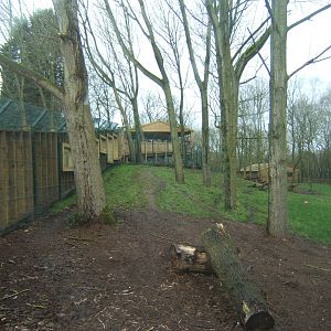 View of Iberian Wolf enclosure